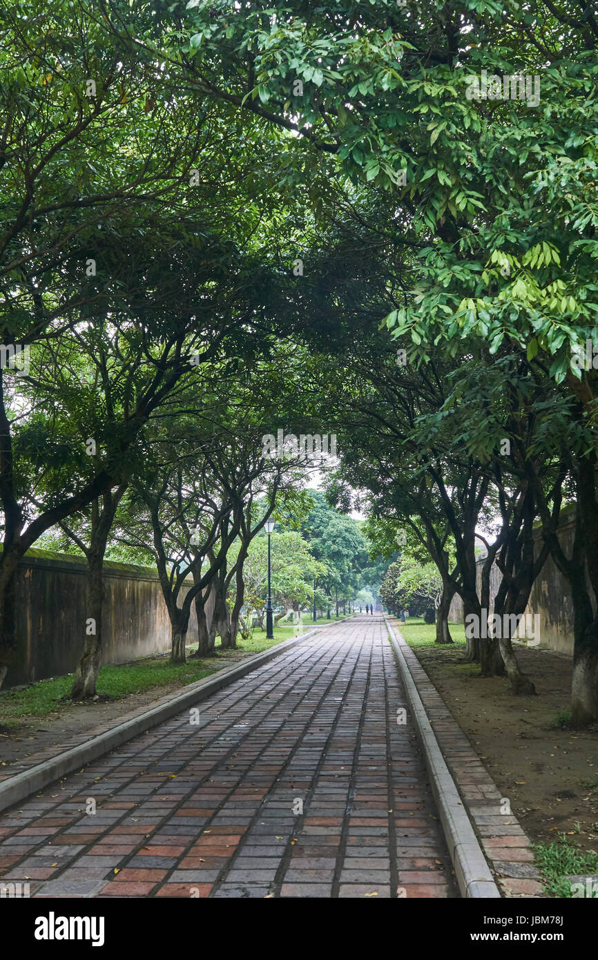 Empty footpath on a foggy day in the imperial city in Hue, Vietnam Stock Photo