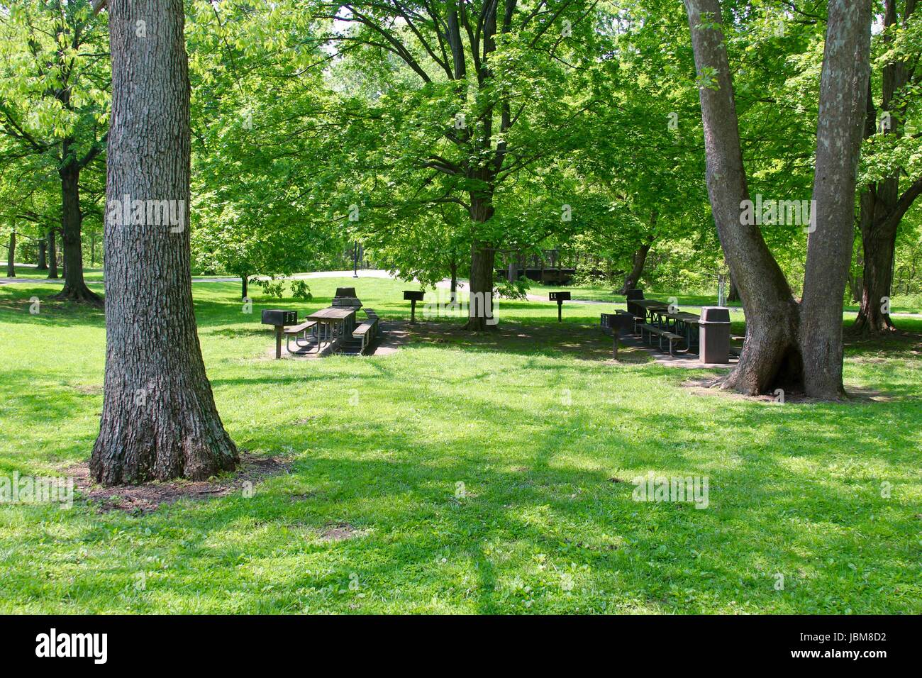 A sunny day in the park with all the nature and odds and ends of the ...