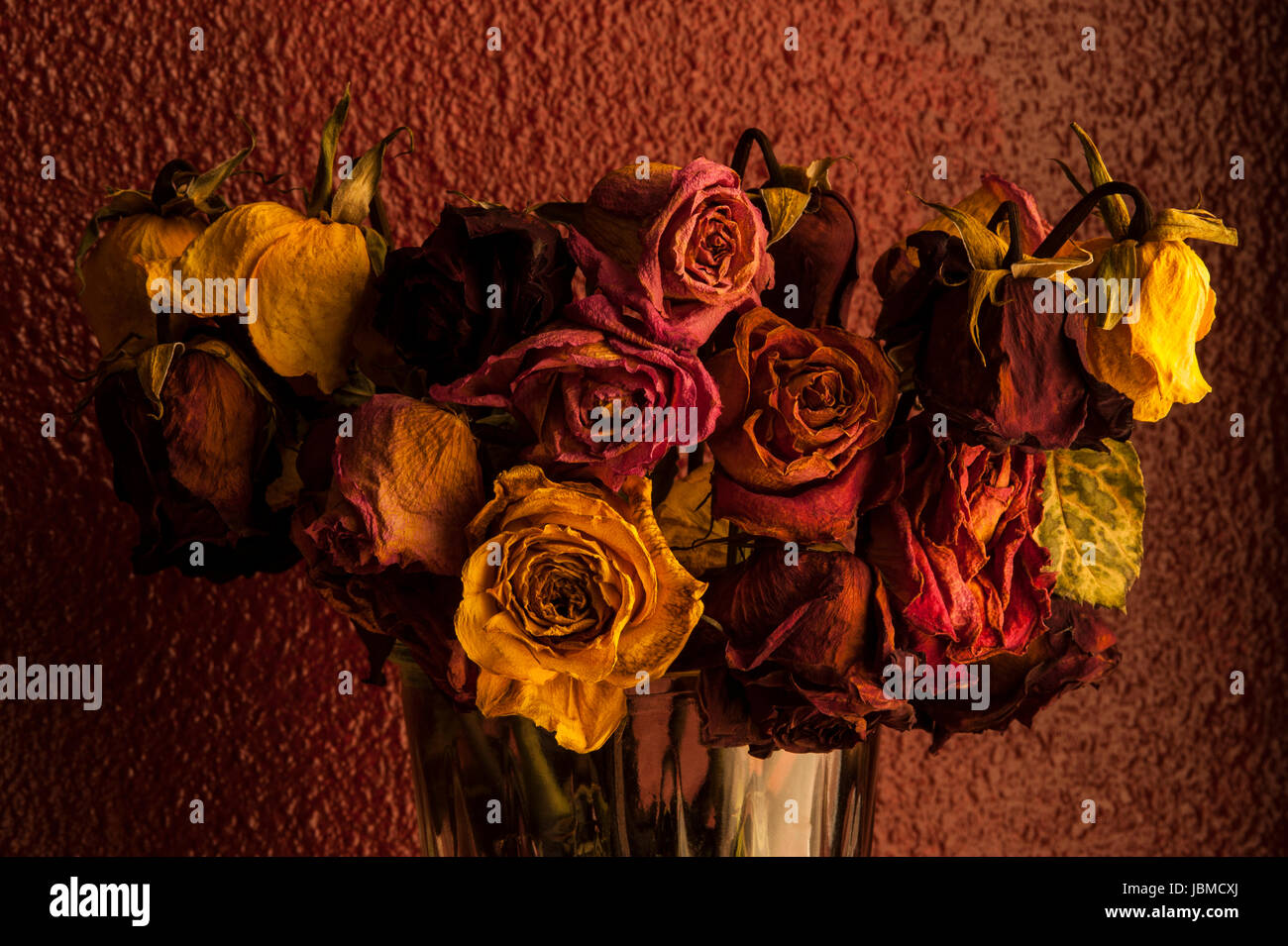 Multicolored roses wilting in glass vase with window warm window light Stock Photo Alamy
