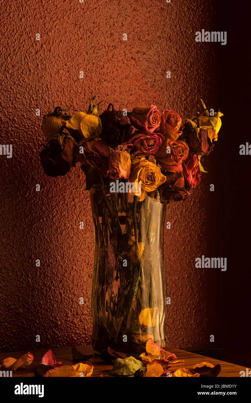Multicolored roses wilting in glass vase with warm window light Stock Photo Alamy