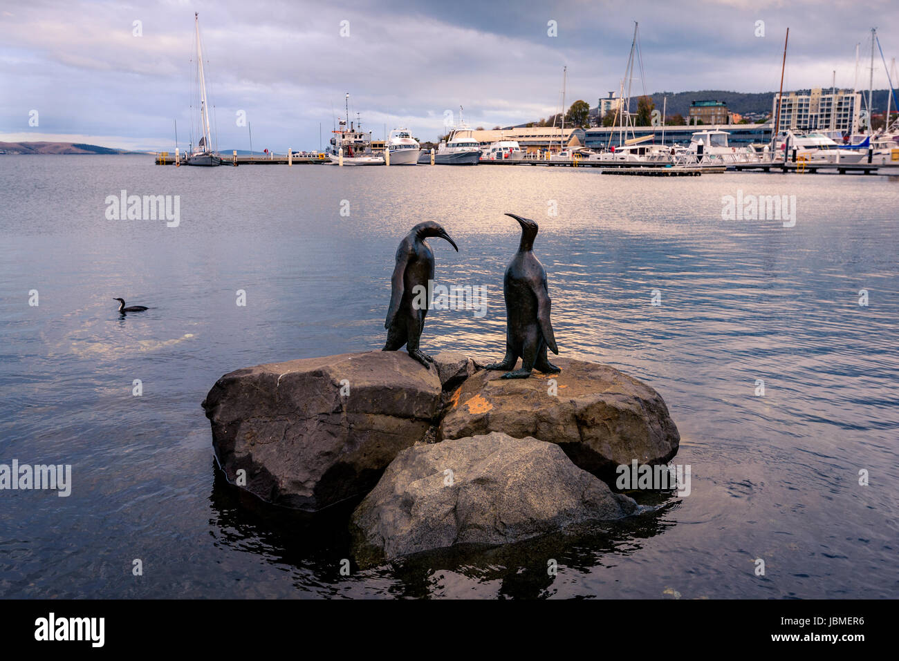 Penguin Statues in Hobart, Tasmania Stock Photo Alamy