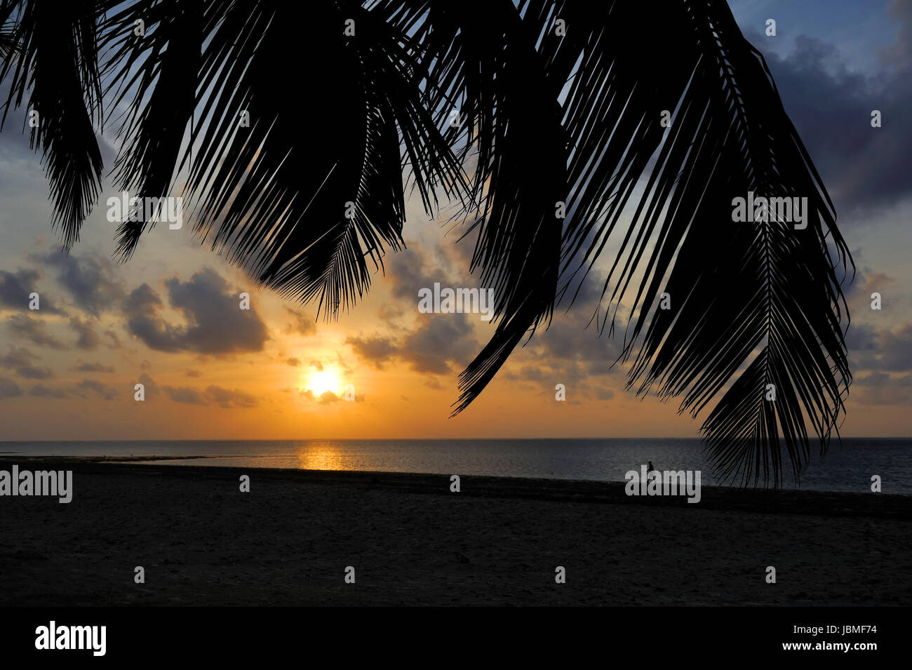 Palm trees silhouette on beautiful sunset tropical beach Stock Photo ...