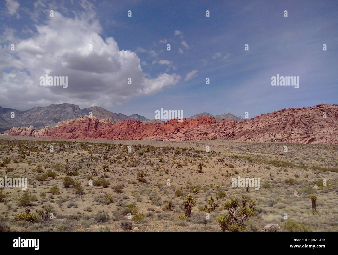 the desert areas of arizona and nevada Stock Photo Alamy