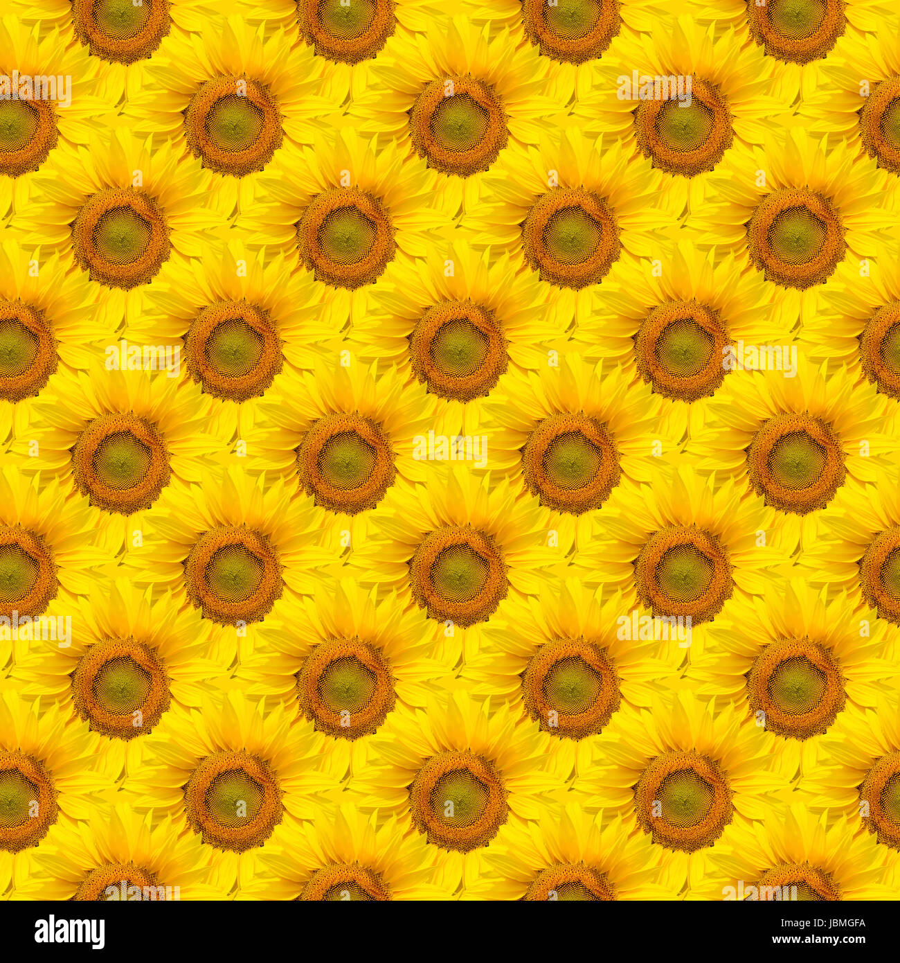 Sunflower seamless background pattern Stock Photo - Alamy