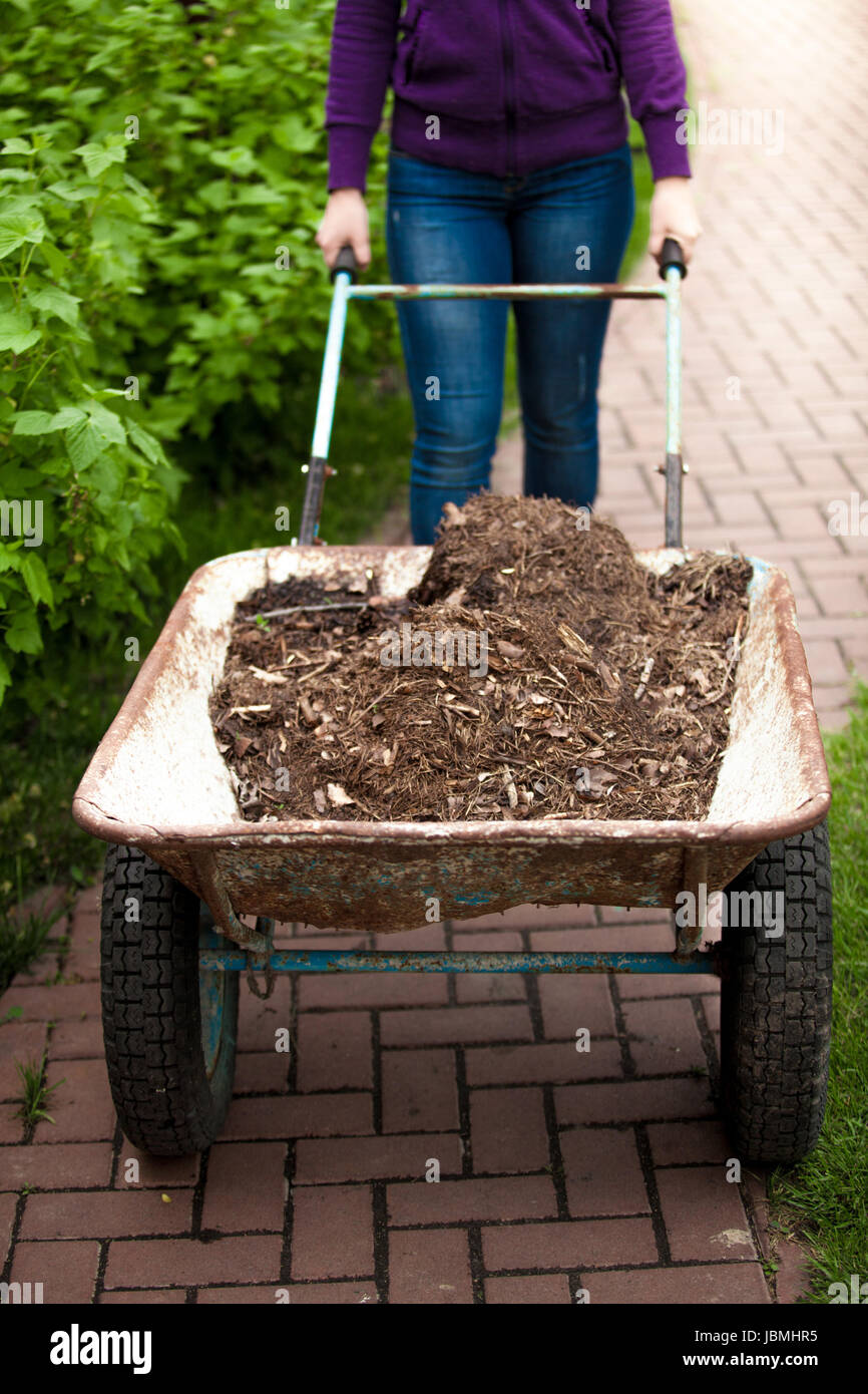 Closeup photo of woman holding wheelbarrow with soil Stock Photo - Alamy