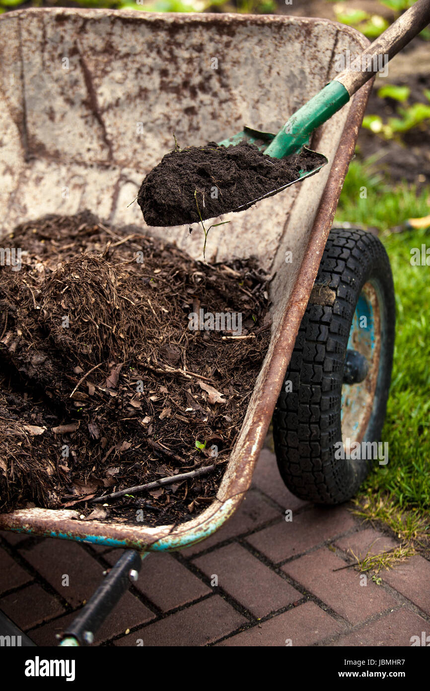 Closeup photo of spade putting soil in old wheelbarrow Stock Photo - Alamy
