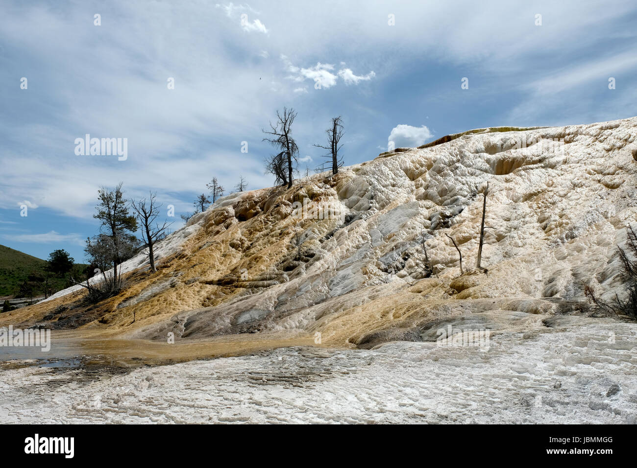 The travertine terraces at Palette Spring, Mammoth Hot Springs, Yellowstone National Park, Wyoming, USA Stock Photo