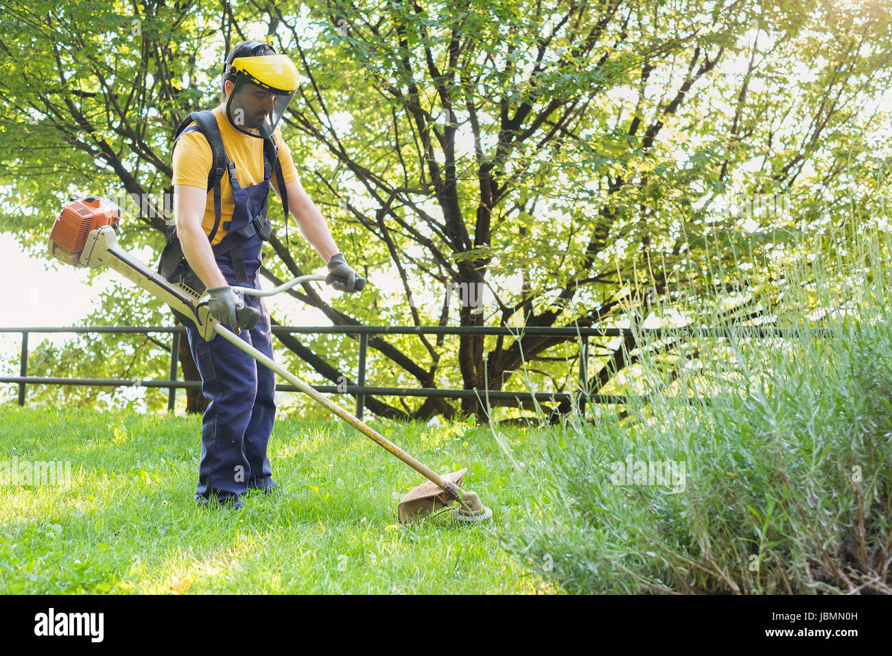 Professional gardener using an edge trimmer in the home garden Stock