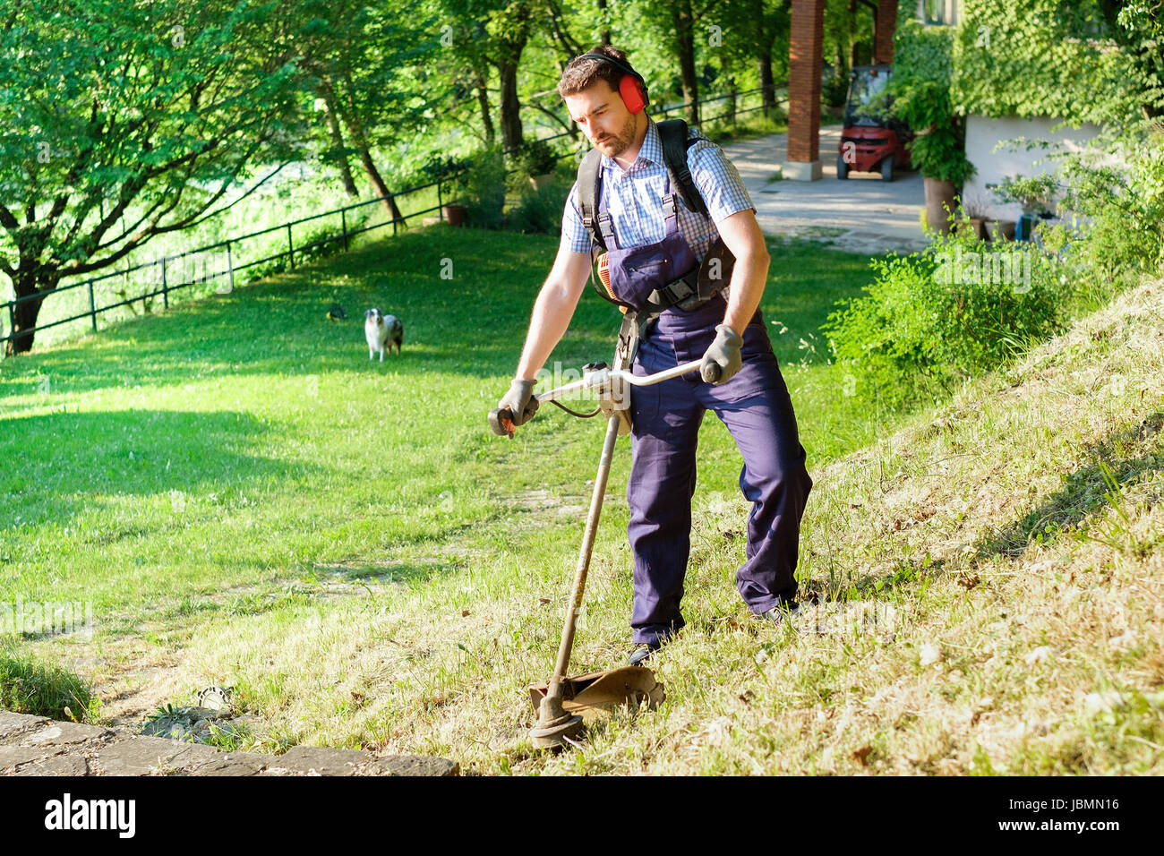 professional weed trimmer