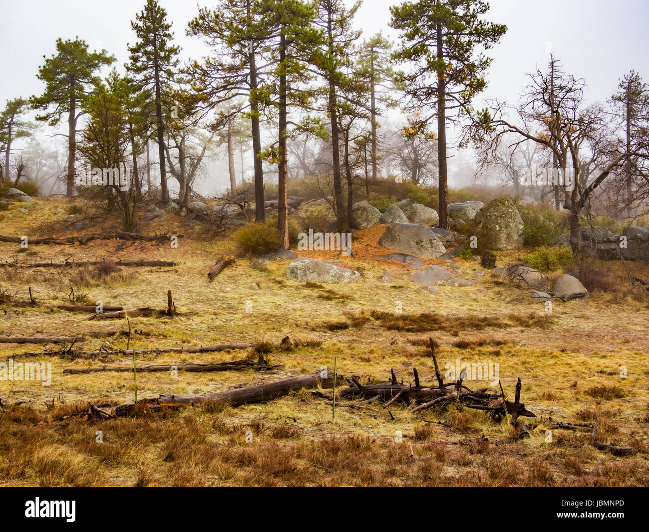 Mount laguna san diego weather