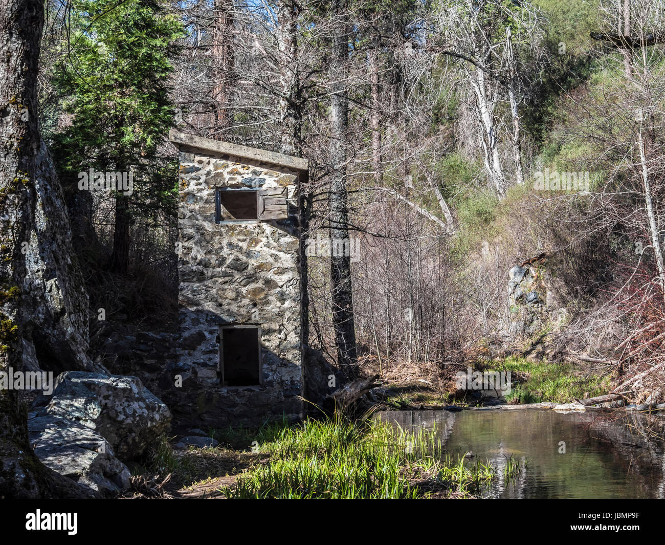 palomar mountain state park Stock Photo Alamy