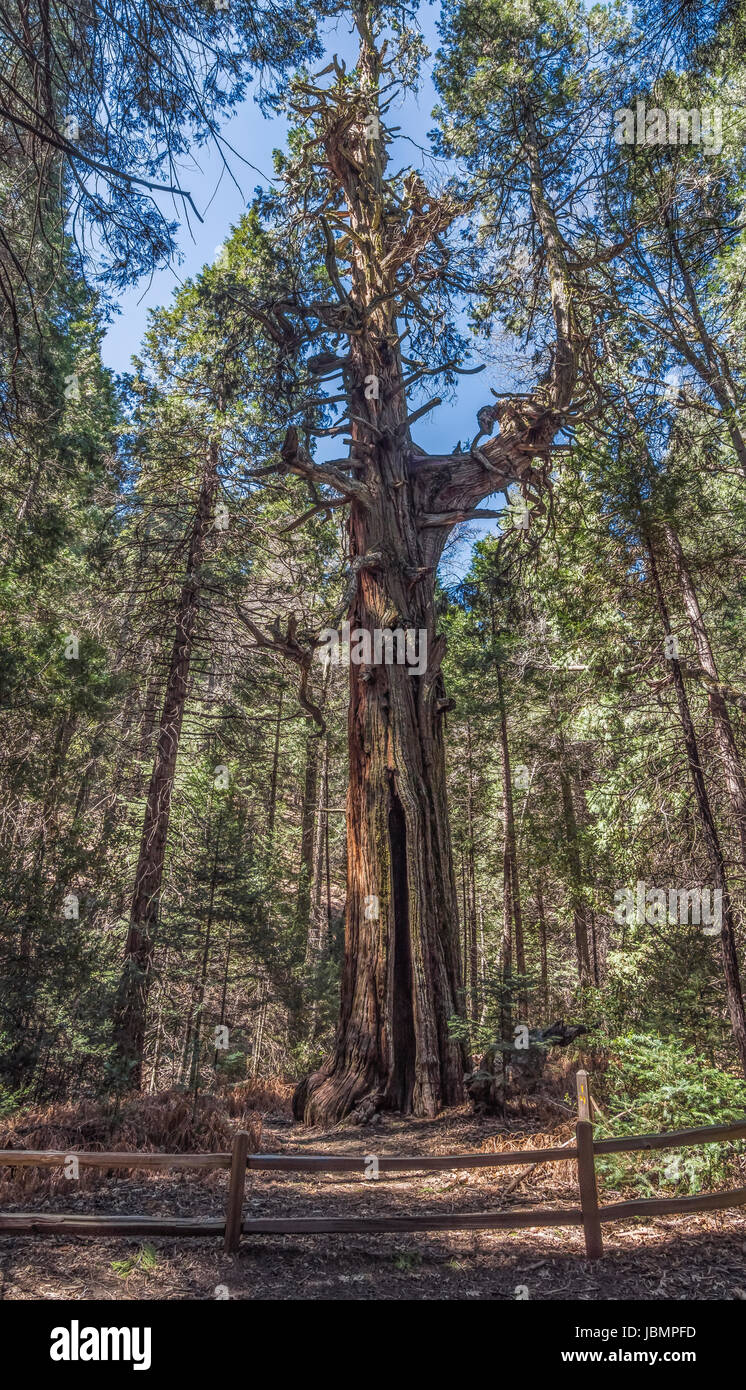 palomar mountain state park Stock Photo Alamy