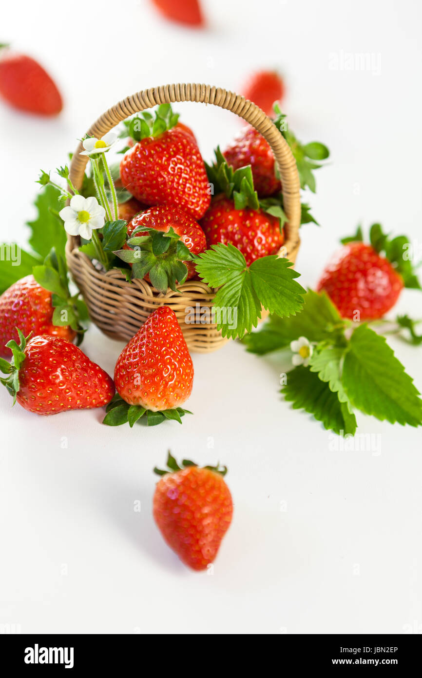 Frische Erdbeeren in einem kleinen Korb mit grünen Blättern auf weißem ...