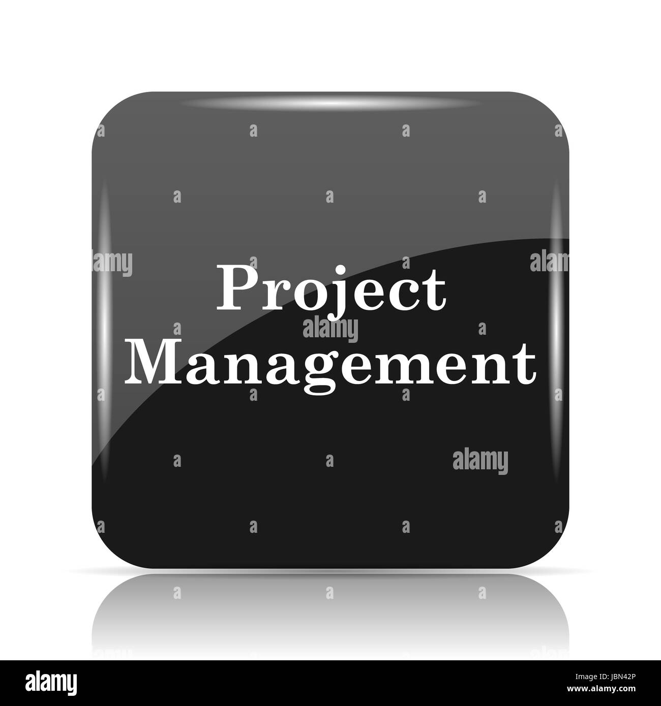 Project management icon. Internet button on white background Stock ...