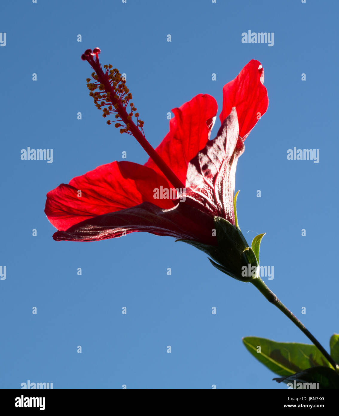 My Image 9