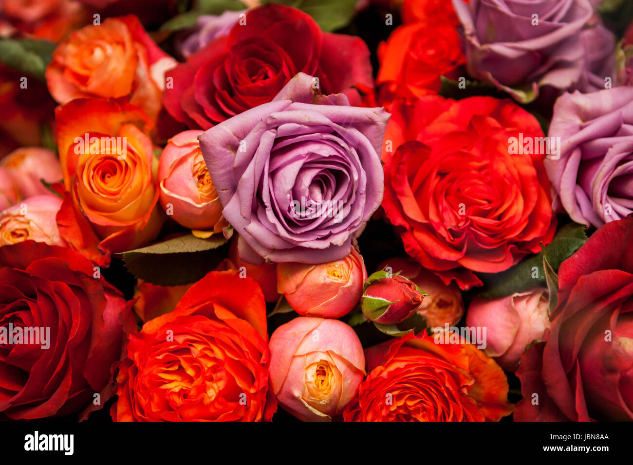 Bouquet verschiedener Blumen und Blüten zum Muttertag als Nahaufnahme Stock Photo