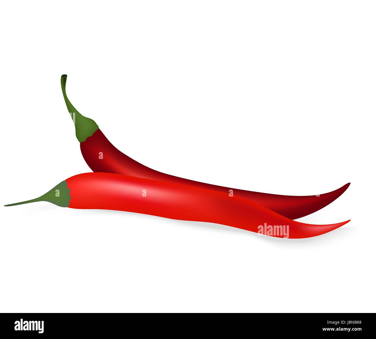 Hot chilli pepper on white background Stock Vector