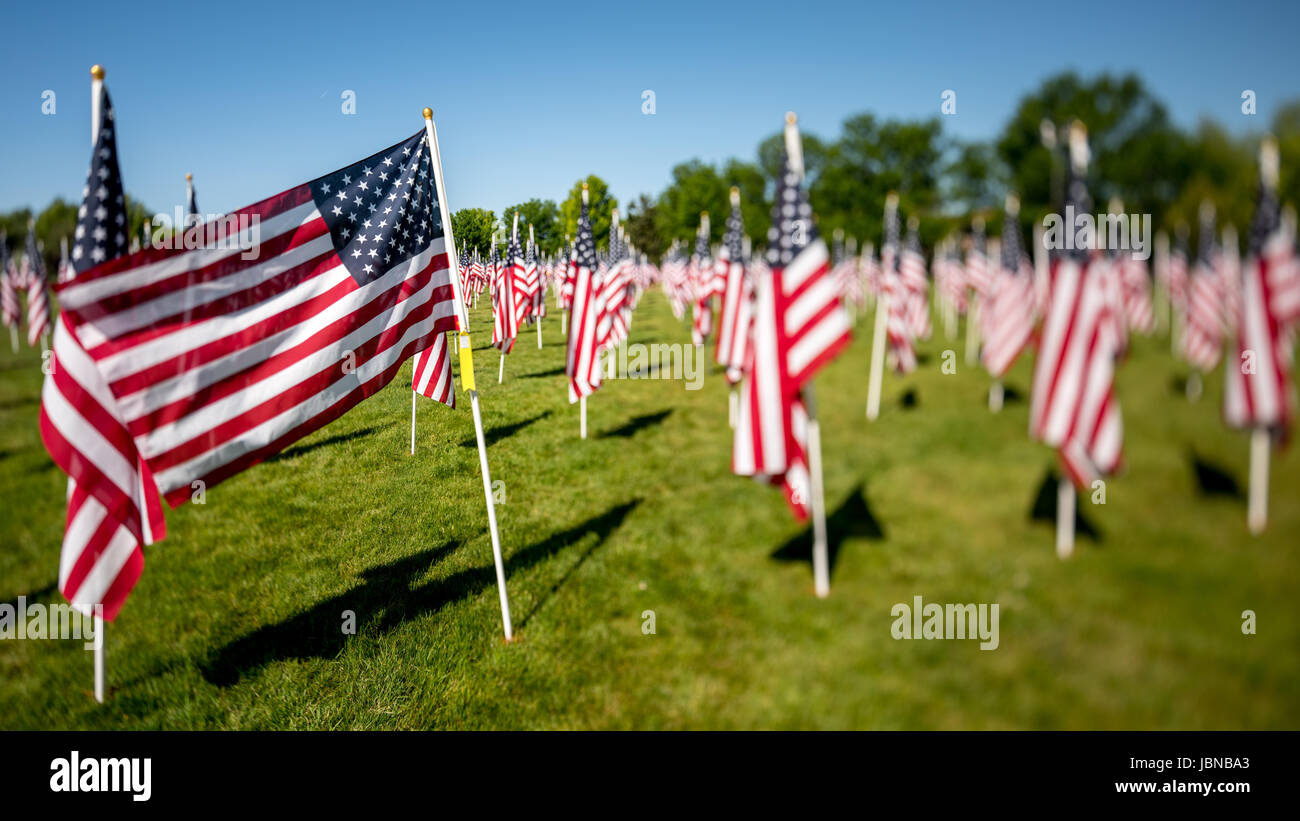 Many flags moving in the wind cover a park Stock Photo