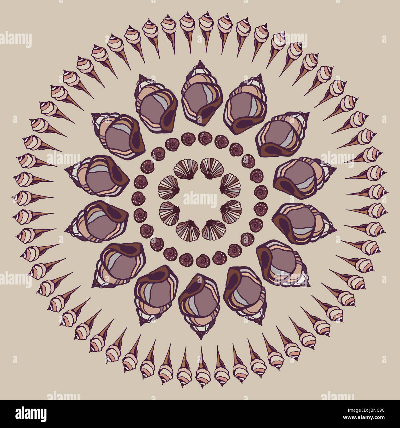 Mandala made of Seashells. Vector decorative background Stock Photo - Alamy