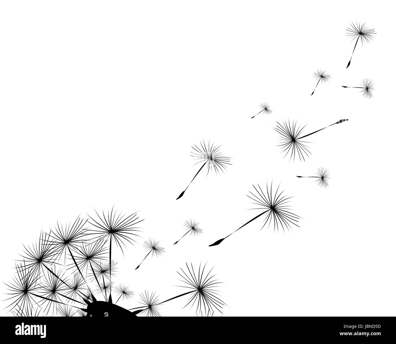 Silhouette of a dandelion Stock Vector