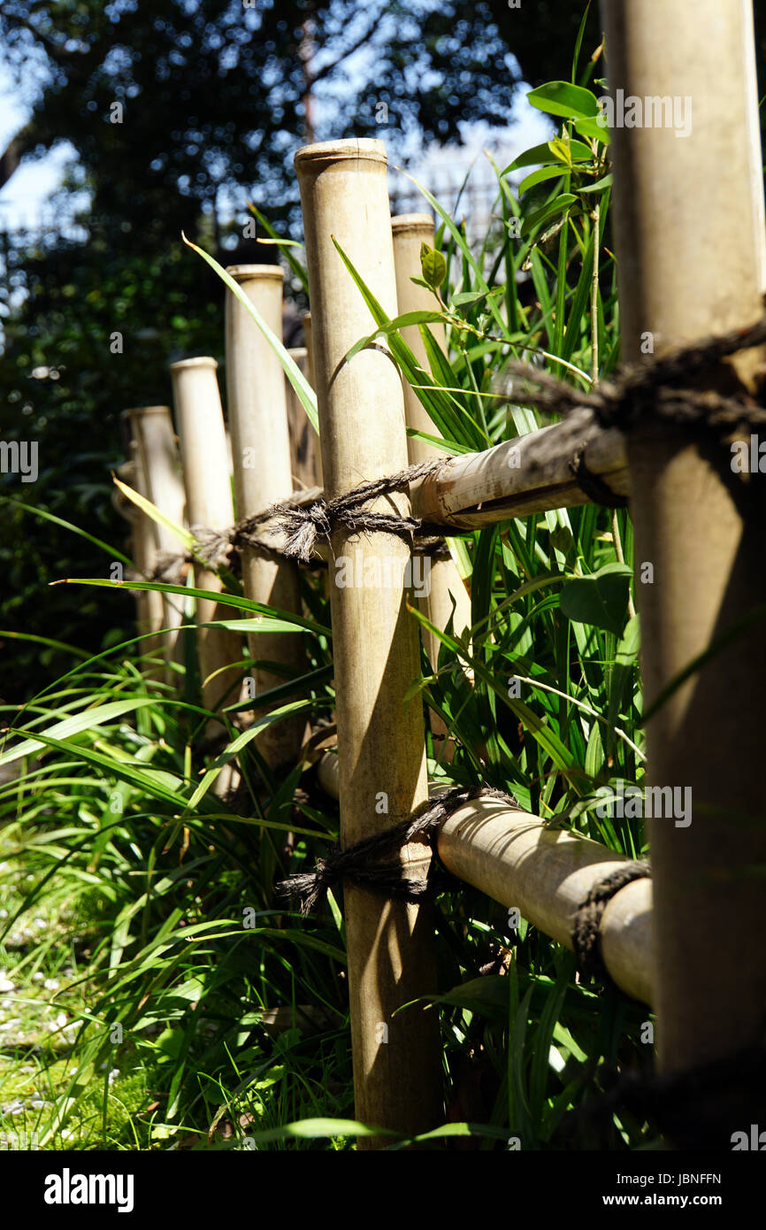 Bamboo fence near the grass, Japan. Stock Photo
