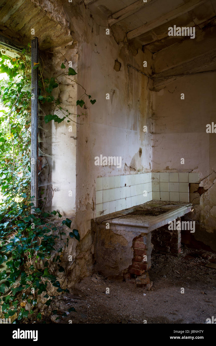The Kitchen- Green vines encroach on this abandoned home’s kitchen. A deteriorating sink is framed by tiles still intact. Stock Photo