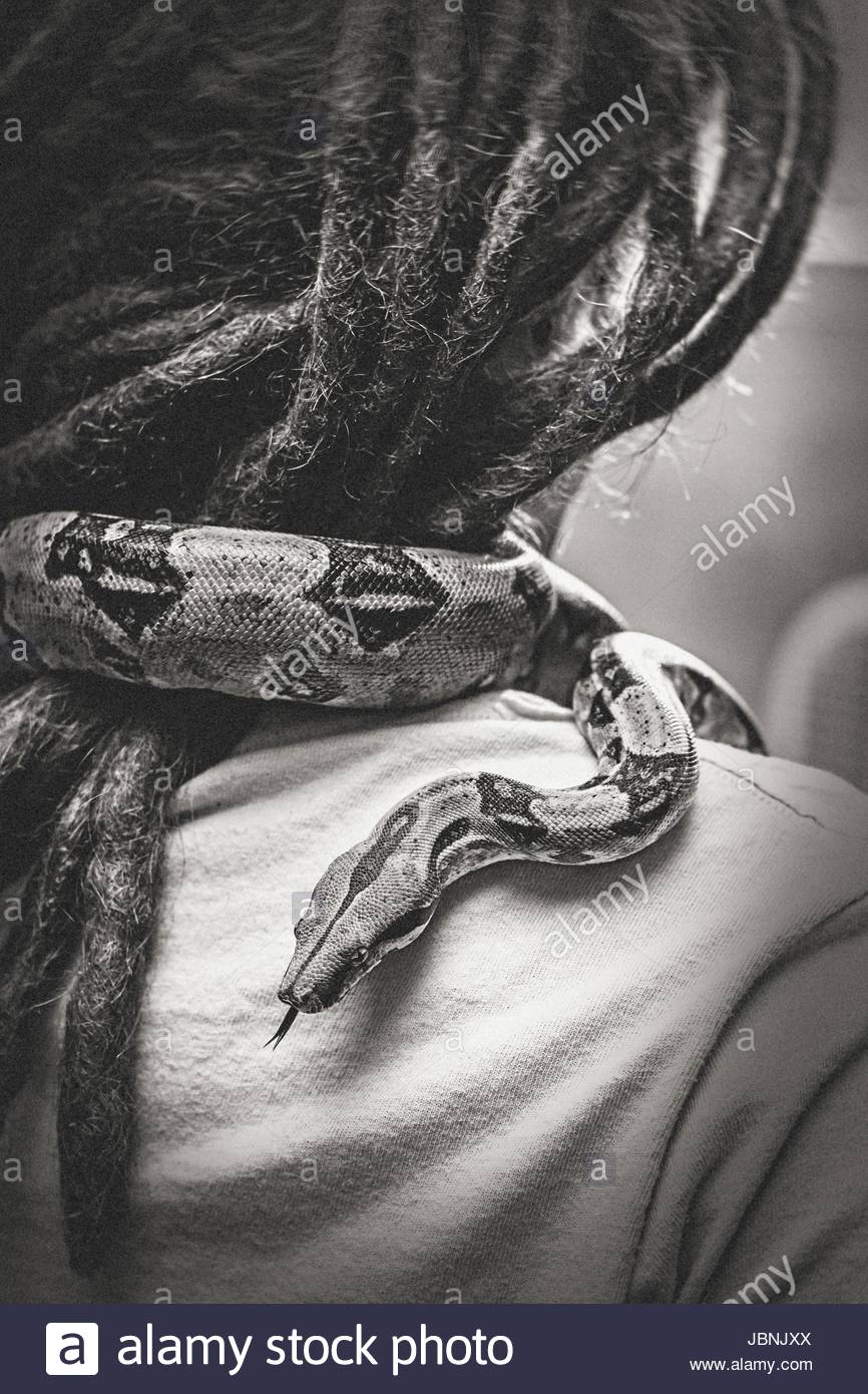 Snake Around Neck High Resolution Stock Photography and Images - Alamy
