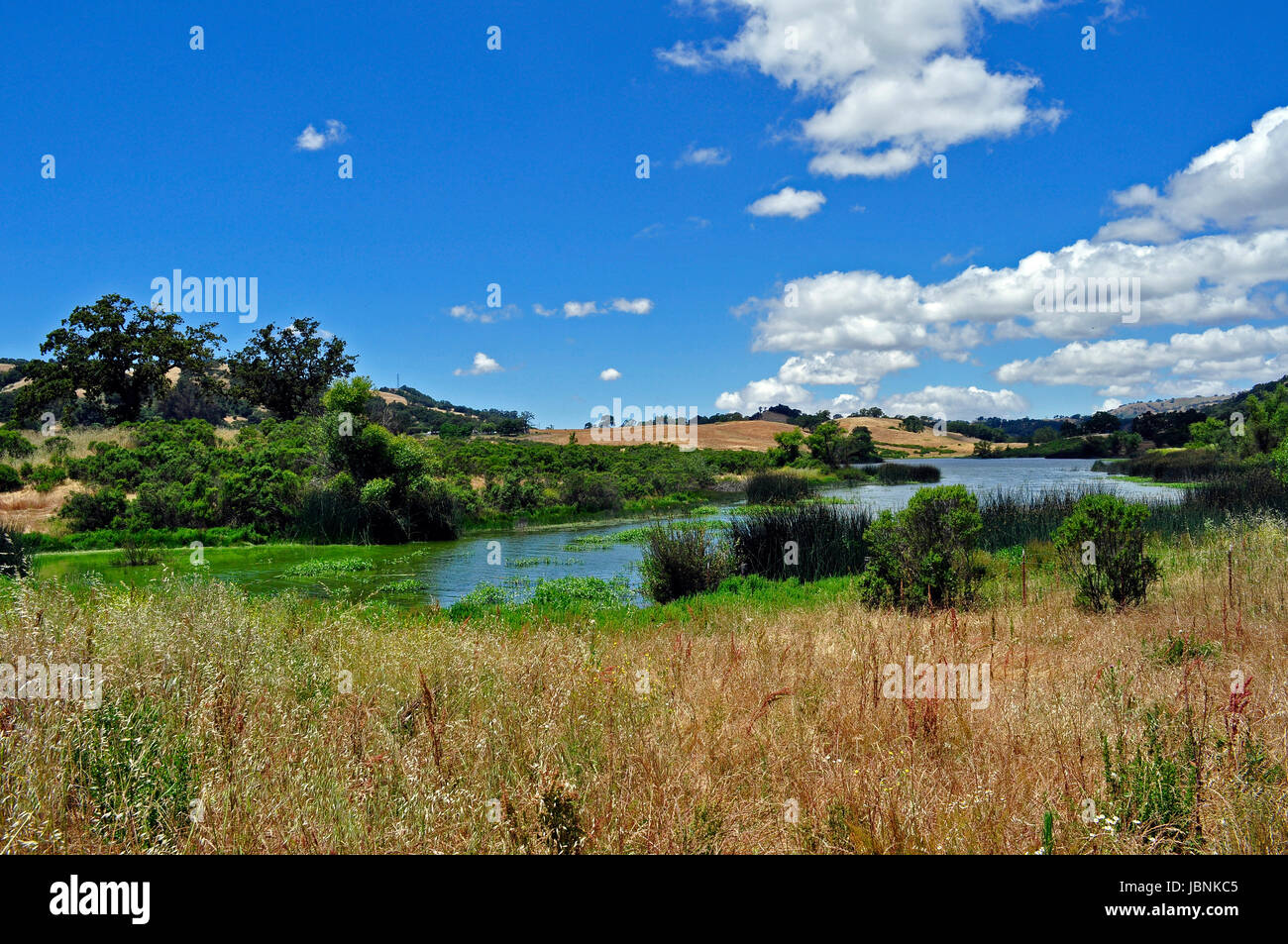 Grant Lake, lake, Joseph D. Grant County Park, Santa Clara County, California, USA Stock Photo