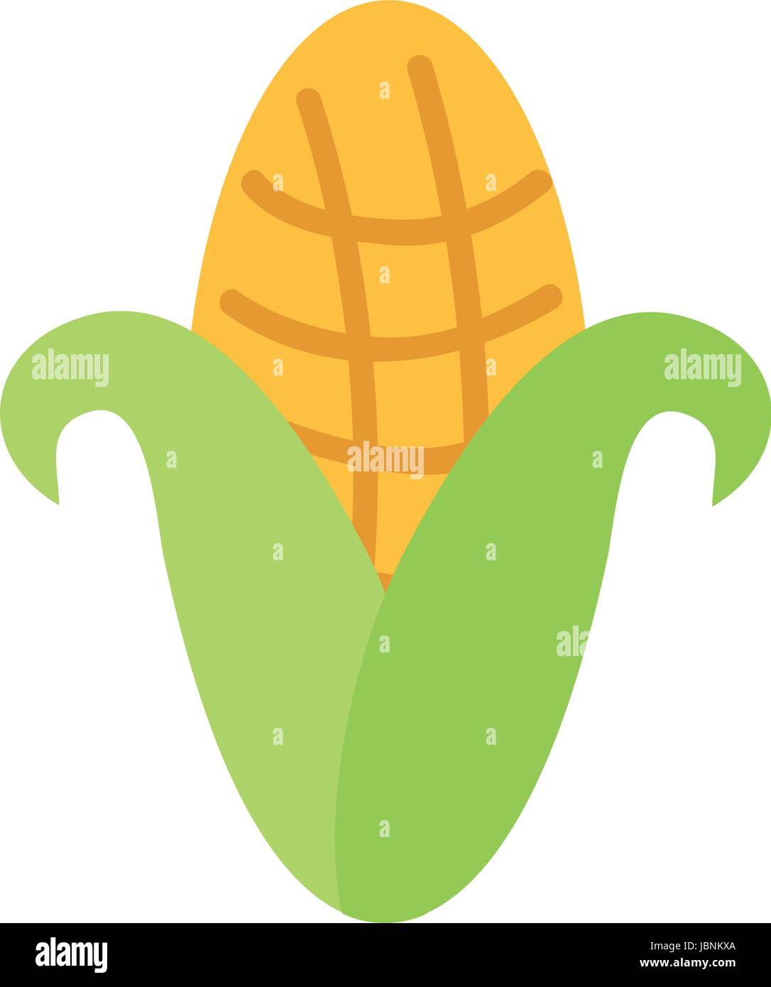 cob corn isolated icon Stock Vector Image & Art - Alamy