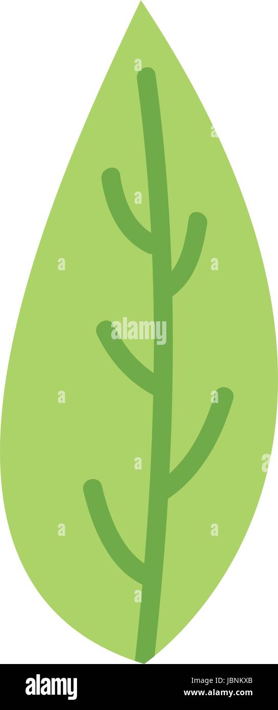 leaf plant isolated icon Stock Vector Image & Art - Alamy