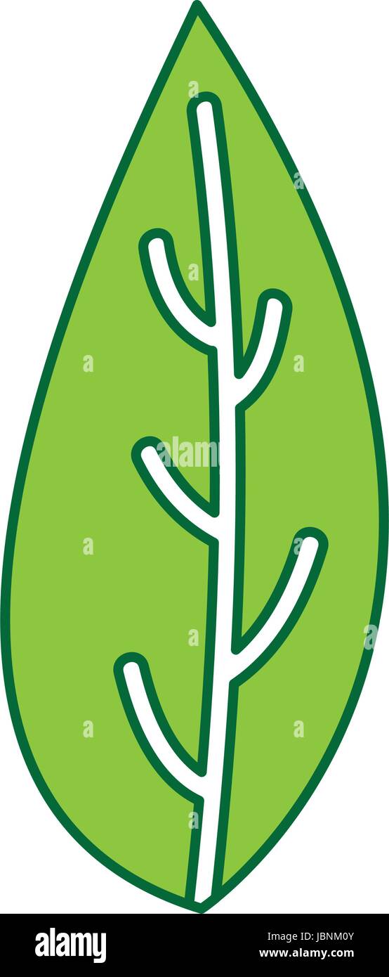leaf plant isolated icon Stock Vector Image & Art - Alamy