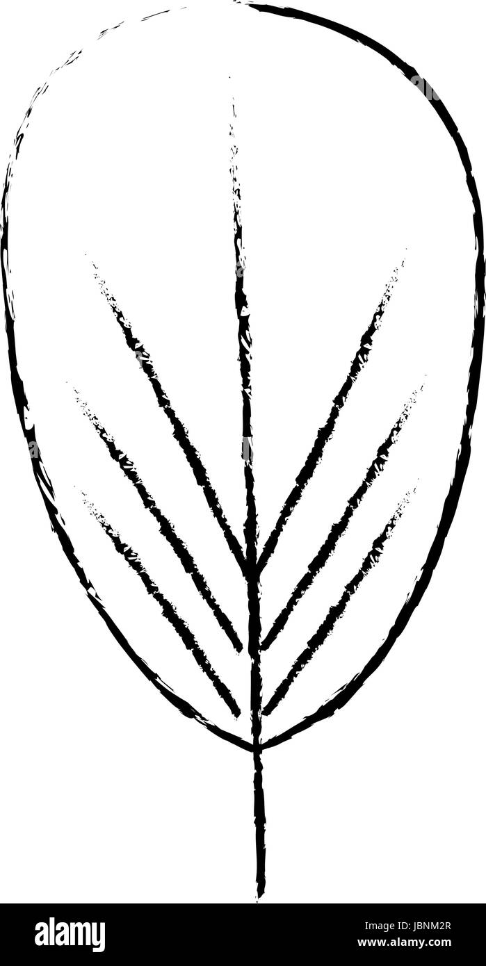 tropical leaf icon Stock Vector Image & Art - Alamy