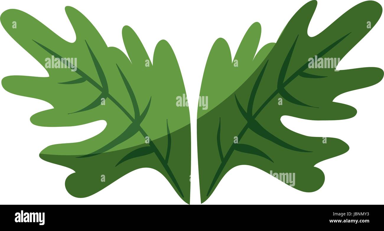 leaves icon image Stock Vector Image & Art - Alamy