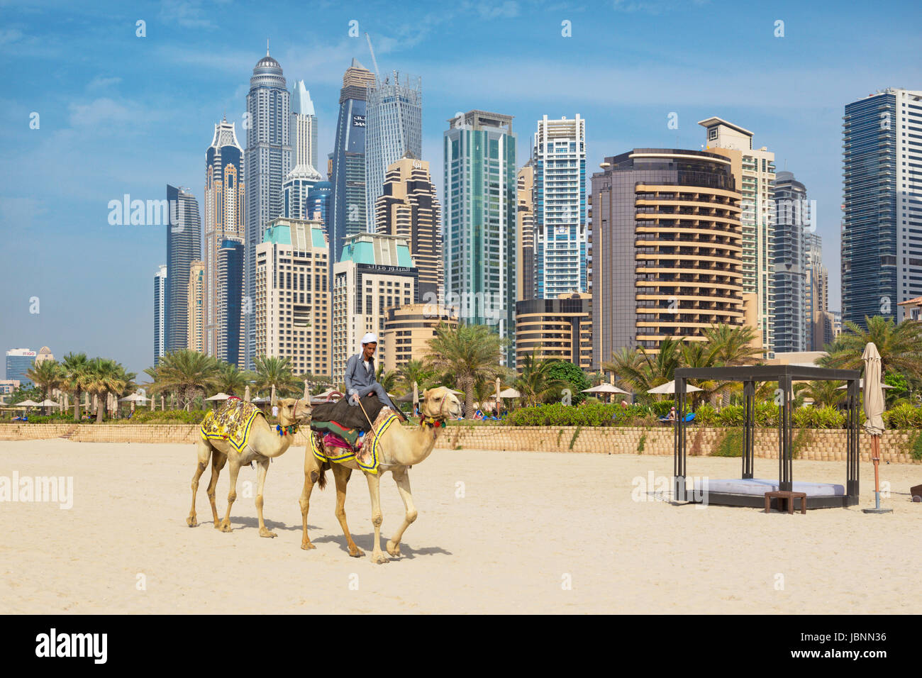 DUBAI, UAE - MARCH 28, 2017: The Marina towers and the camels on the beach. Stock Photo