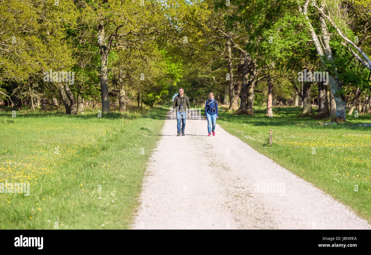Ottenby, Sweden - May 27, 2017: Environmental documentary. Two birdwatchers with binoculars walking toward you on a straight country road, coming out  Stock Photo