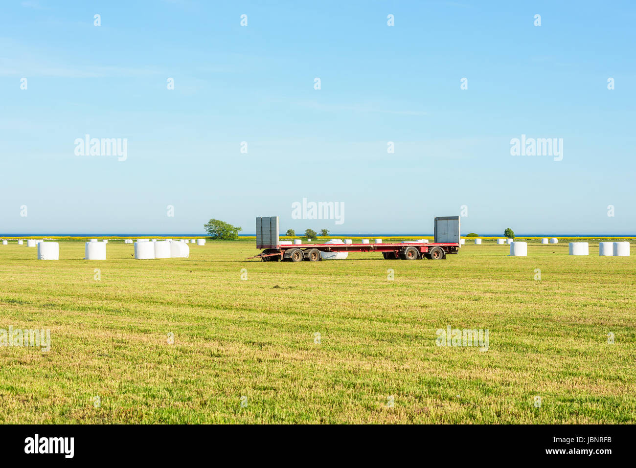 Empty truck trailer parked in a field full of silage bales. The bales are to be loaded on the trailer for later transport. Stock Photo