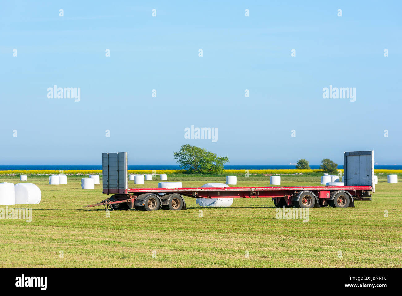 Empty truck trailer parked in a field full of silage bales. The bales are to be loaded on the trailer for later transport. Stock Photo