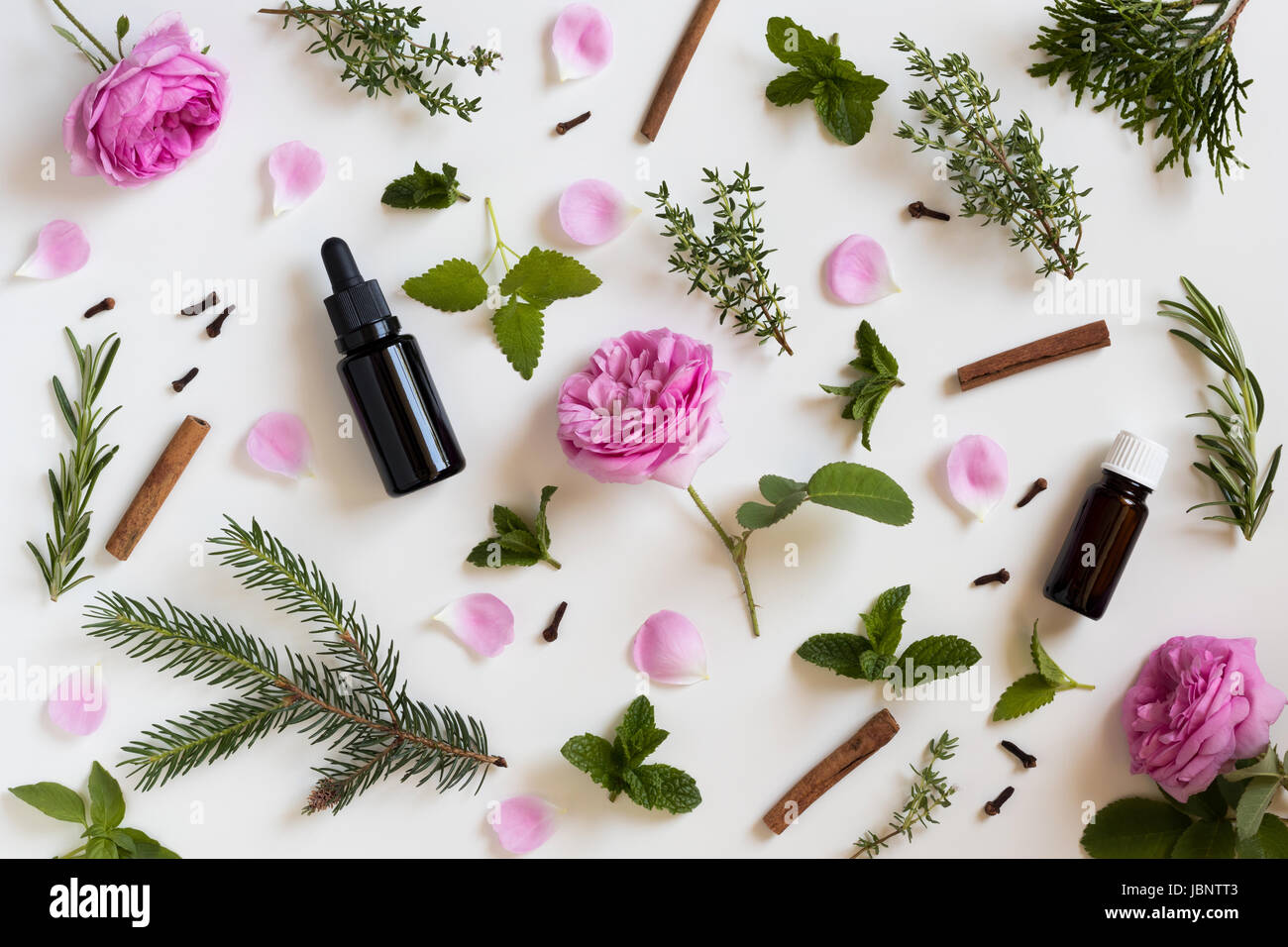 Selection of essential oils and herbs on a white background - peppermint, rose, melissa, thyme, rosemary, cinnamon, clover, thuja Stock Photo