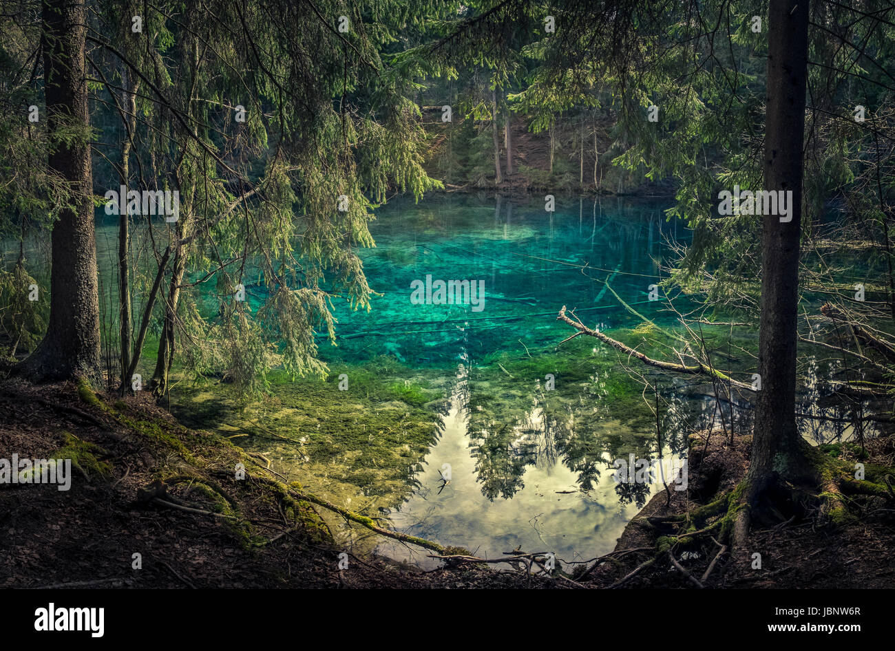 Natural spring in southern Finland. Water is so clear that it´s ...