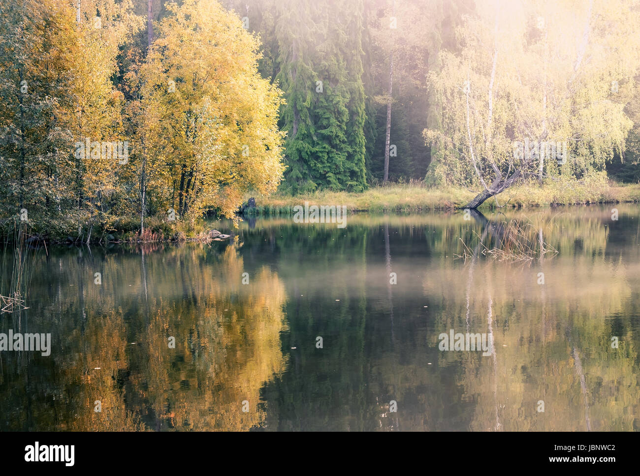 Nice morning light at autumn in little pond Finland Stock Photo