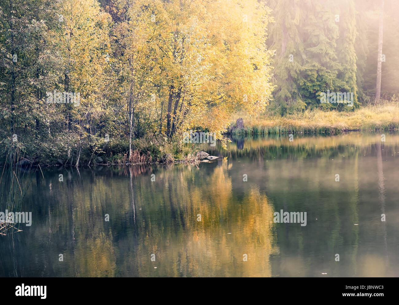 Nice morning light at autumn in little pond Finland Stock Photo