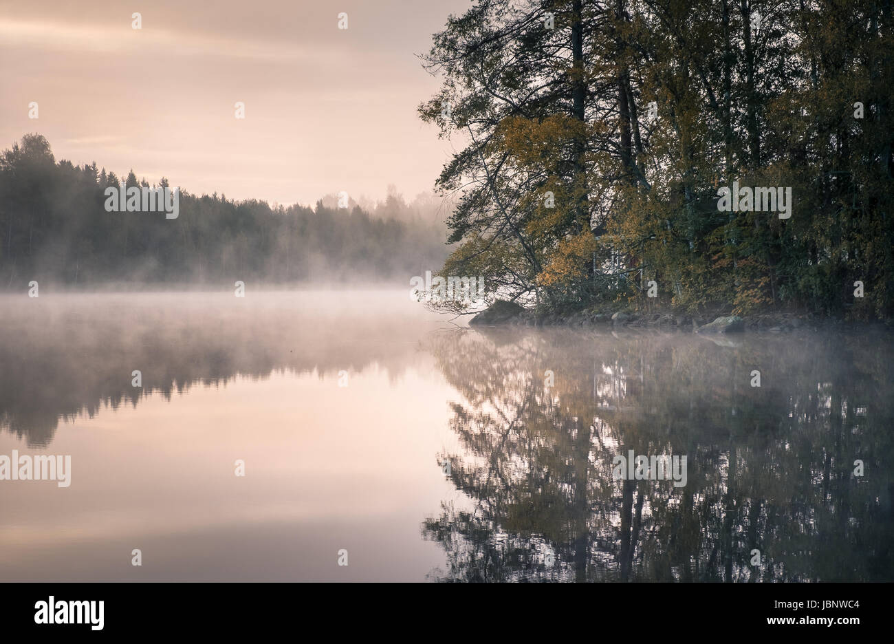 Nice morning light at autumn in little pond Finland Stock Photo