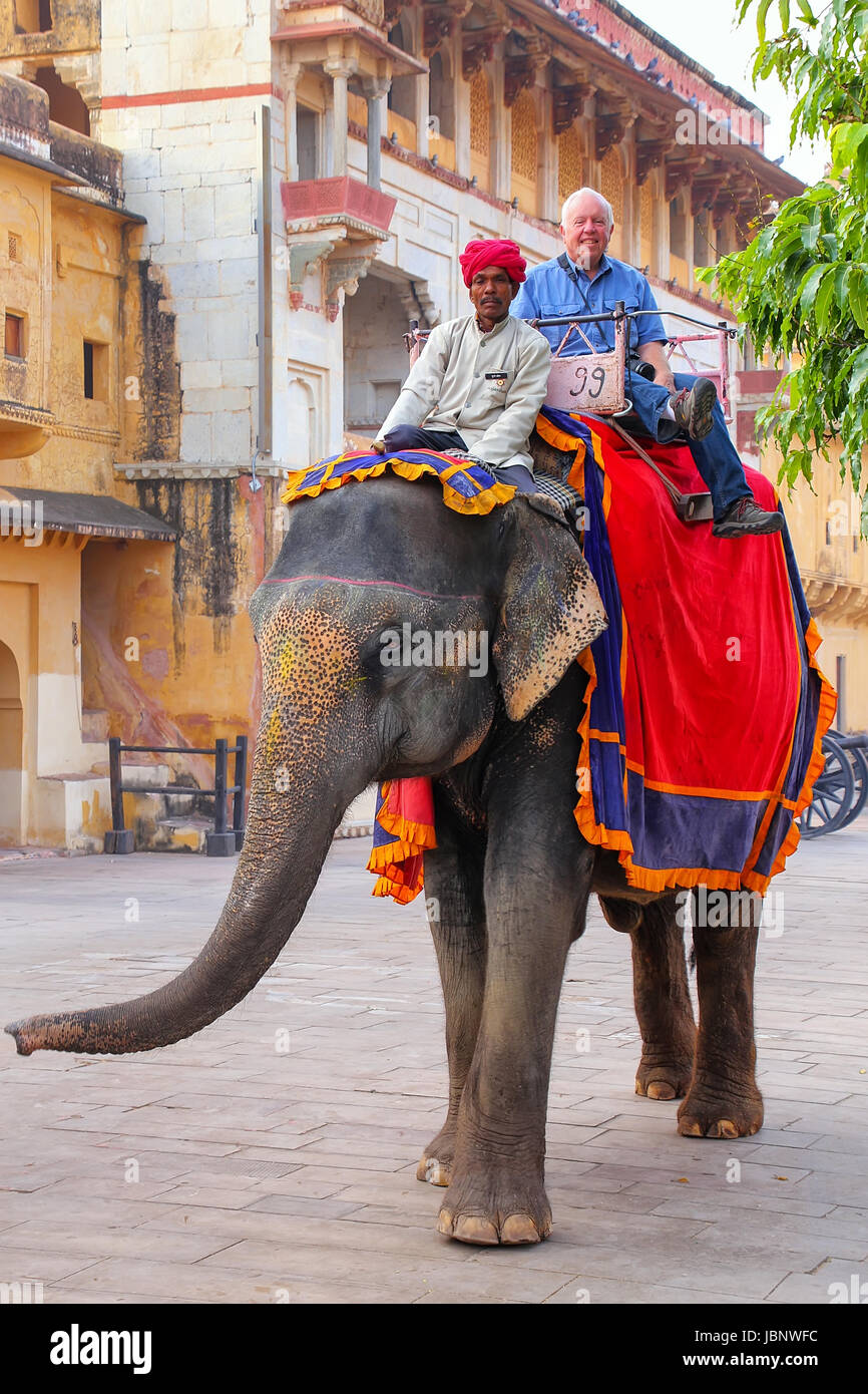 Decorated elephant with tourist walking in Jaleb Chowk (main courtyard) in Amber Fort, Rajasthan, India. Elephant rides are popular tourist attraction Stock Photo