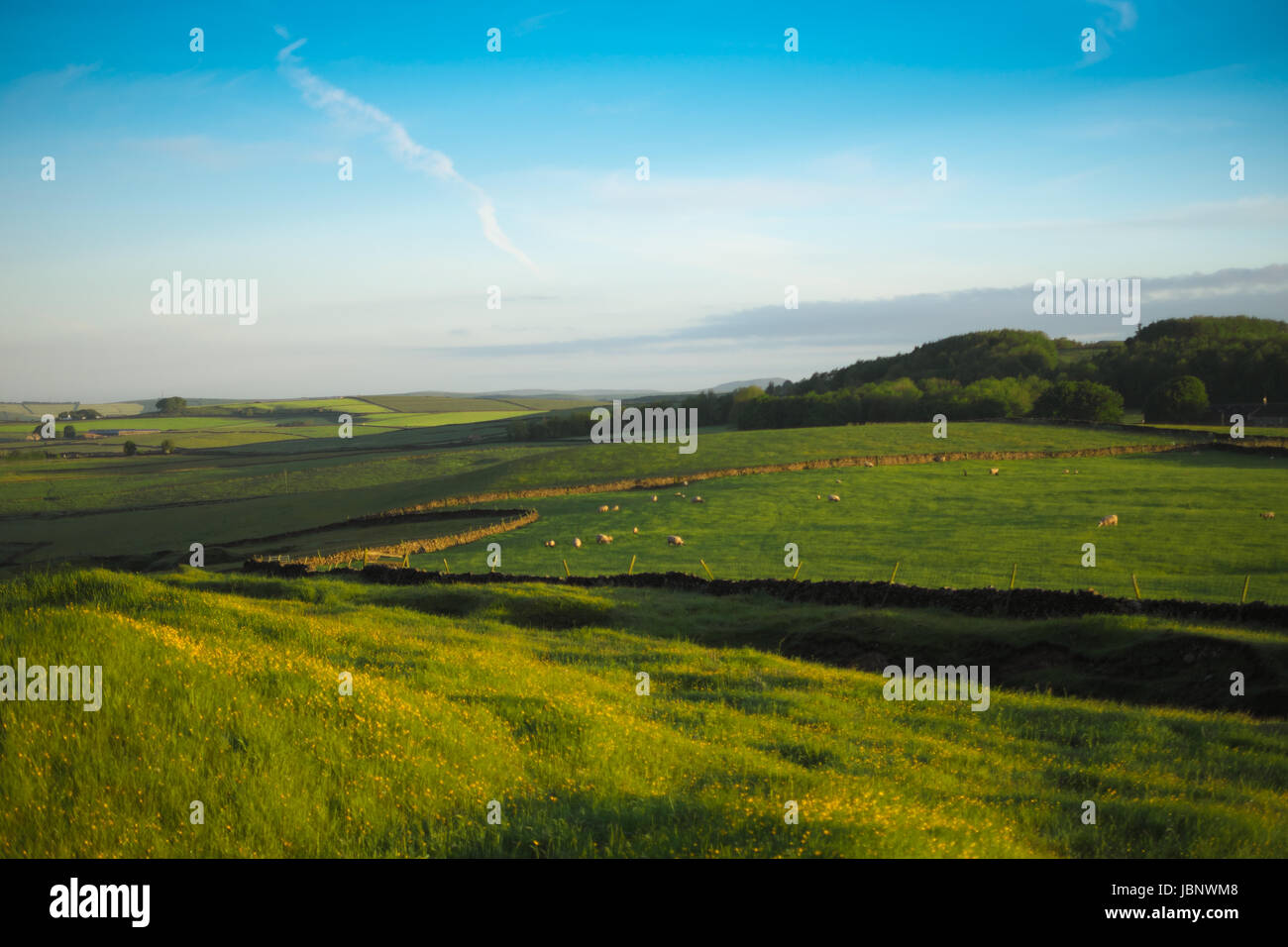 Shuttle Rake Opencast Opencast mining site in derbyshire hi-res stock photography and images ...