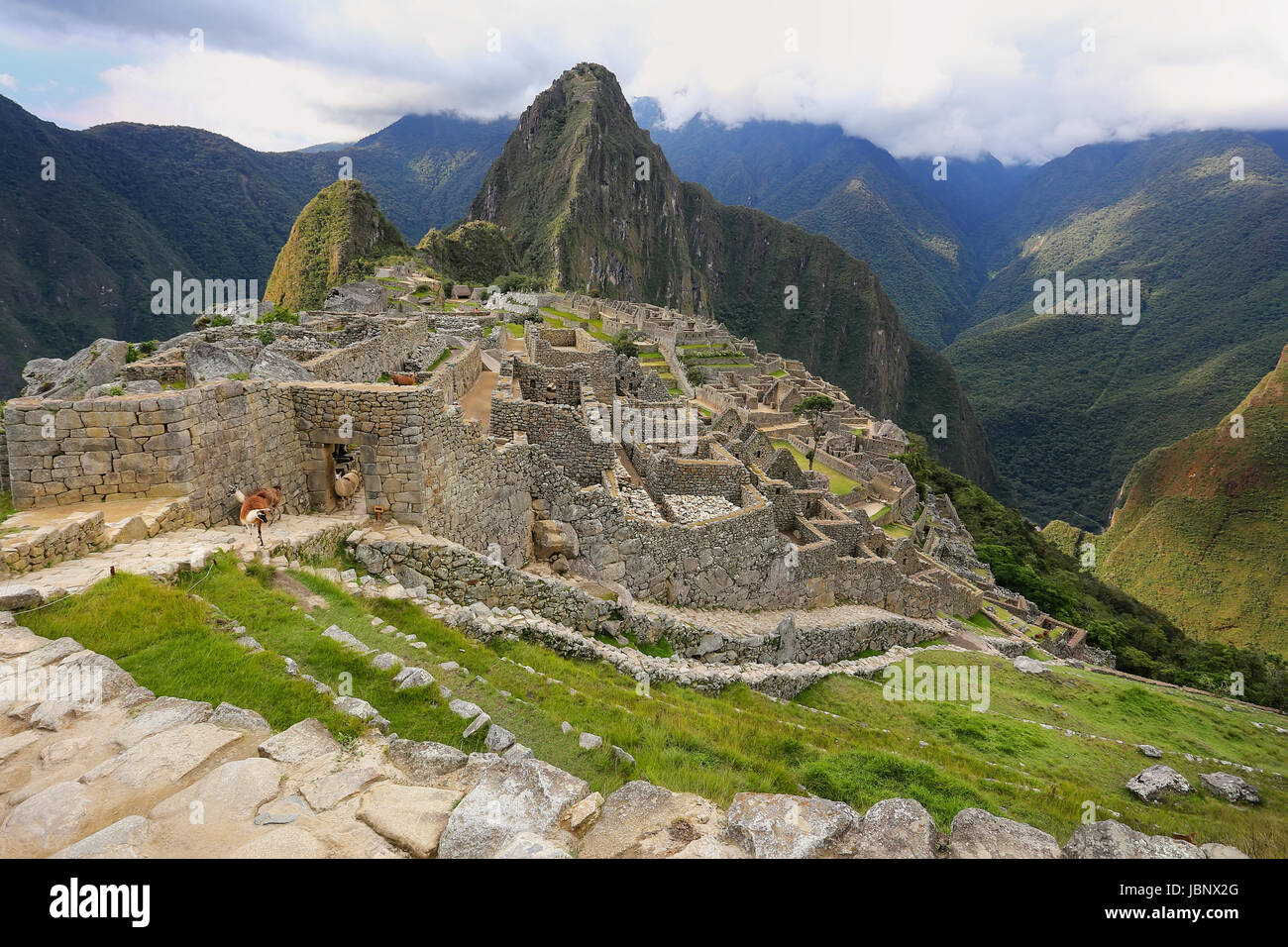Inca citadel Machu Picchu in Peru. In 2007 Machu Picchu was voted one of the New Seven Wonders of the World. Stock Photo