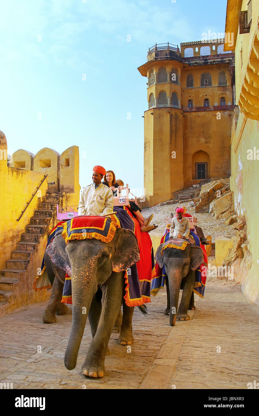 Decorated elephants going on the cobblestone path to Amber Fort near Jaipur, Rajasthan, India. Elephant rides are popular tourist attraction in Amber  Stock Photo