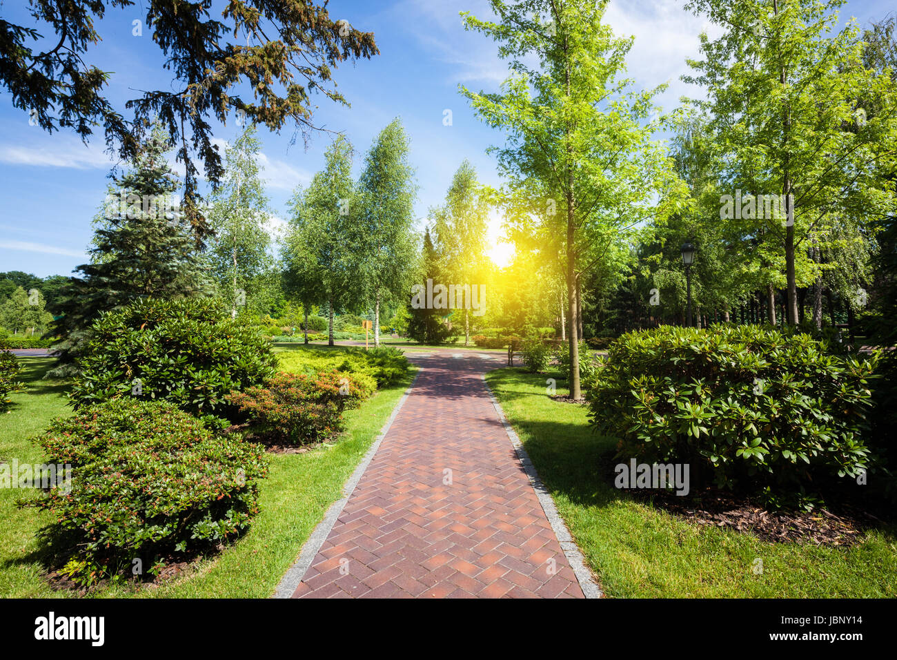 Summer green city park at sunny day Stock Photo - Alamy