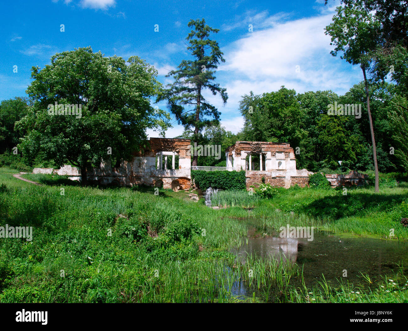 Dendropark hi-res stock photography and images - Alamy