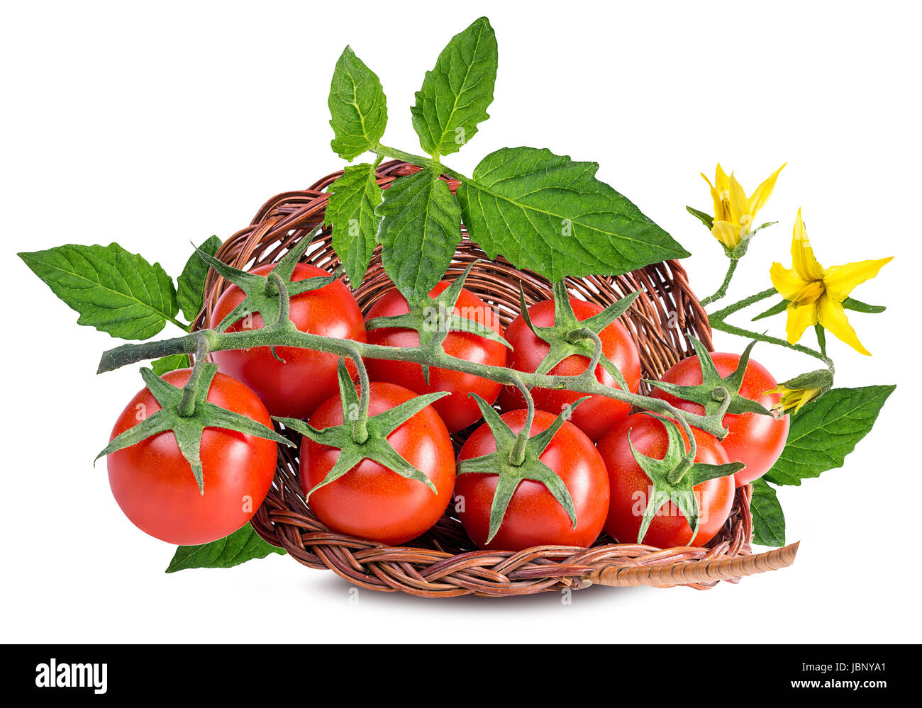 Cherry tomatoes {tomato} isolated on a white background Stock Photo