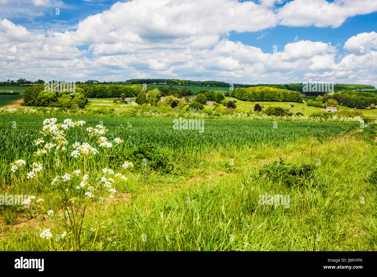 Rolling Cotswold Countryside On A Sunny Day In Late Spring Stock Photo 